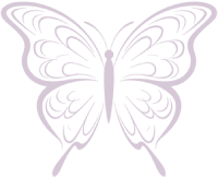 vector